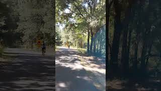 Cruising through the forest at Santos Mountain Bike trailsflorida ocala ocalafl bycycle bikes [upl. by Eyt717]