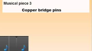 Comparing bridge pins on Taylor DN3 [upl. by Bordiuk]