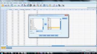 Computing Scale Scores in SPSS [upl. by Nivlam]