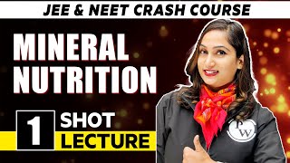 Mineral Nutrition  One Shot Lecture  CHAMPIONS  NEET CRASH COURSE 2022 [upl. by Amy]