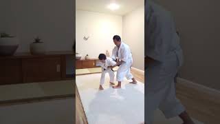 Push Hands Aikido Practice 4  Tai Chi Inspired Body Awareness amp Balance Exercises with Renta [upl. by Irual]