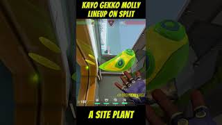 Kayo and Gekko Molly Lineup on Split  A backsite Plant gekkolineups 발로란트 kayo [upl. by Peterus]