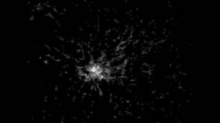 Amoebae aggregation and slime mold formation [upl. by Torp608]