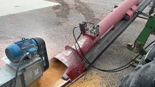 First load of corn for the year headed out [upl. by Richy792]