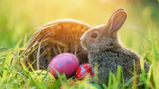 Why does Easter Sundays date change from year to year [upl. by Chanda]