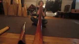 Lies Beijerinck plays on my new didgeridoo [upl. by Nolyar]