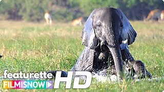 Disneynatures ELEPHANT 🐘 Featurette  Disney  Meghan Markle Narrated [upl. by Ahsekin]