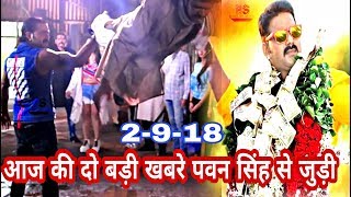 पवन सिंह की बड़ी खबरे 2  Pawan Singh Bhojpuri Film  Sher Singh Saat Mehariya [upl. by Annahc769]