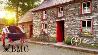 Irish music traditional instrumental compilation [upl. by Dis]