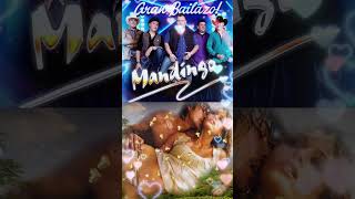 Grupo Mandingo ❤️ Mix Romanticas 2024 ❤️ Exitos Sus Mejores Canciones De Grupo Mandingogrupomanding [upl. by Kurtzman]