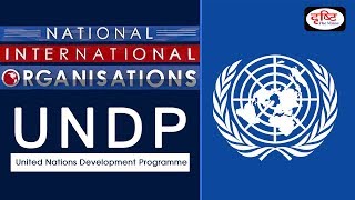 UNDP  NationalInternational Organisation [upl. by Dailey]