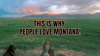 Feeding the HORSES  Montana Sunset  ASMR  relaxing with the cat [upl. by Nnyled]