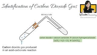 Carbon Dioxide  How to identify in Chemistry Laboratory [upl. by Tingey442]