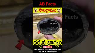 🙏సాలగ్రామం🙏 Mahavishnu roopam in shaligram telugufacts vishnupuran shorts youtubeshorts abfacts [upl. by Pauiie]