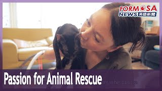 TaiwaneseGerman academic and radio host committed to animal rescue｜Taiwan News [upl. by Jb971]