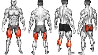 Best Glutes Hamstrings Quadriceps Calves Exercises [upl. by Dabbs670]