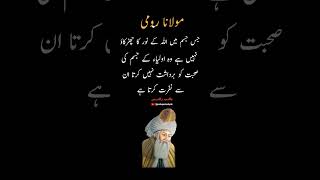 Moulana Rumi Quotes in Urdu romiquotes quotes viralpost ytshorts viralvideo explore 1million [upl. by Hoskinson966]