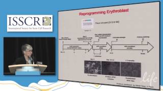 Reprogramming somatic cells using the Sendai virus technology ISSCR 2014 – Dr Laurence Daheron [upl. by Ellevel713]