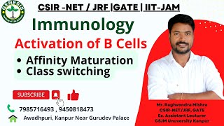 BCell Activation amp Differentiation  Affinity Maturation  Class Switching  Immunology  L24 [upl. by Ladd]