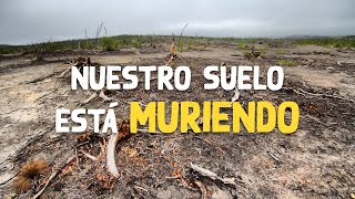 ¿Que es la perdida del suelo y desertificación ☠🌿😯 [upl. by Eneres]