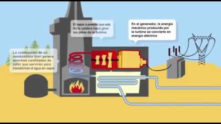 Funcionamiento de una Central TérmicaEducación Tecnológica unidad 3 [upl. by Piscatelli]