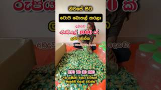 දවසට රුපියල් 4000 ක් ගන්න එකතු වෙන්නjob jobvacancy jobs2024 job2025 workfromhomejobs lkjobs [upl. by Ancier]