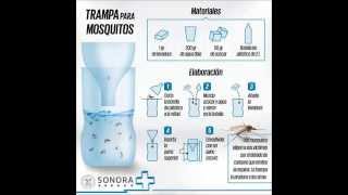 Trampa para mosquitos [upl. by Maon]