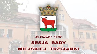 20241024  Sesja Rady Miejskiej Trzcianki LIVE [upl. by Jago218]