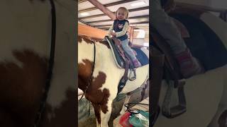 horse riding  Natural Horse Training youtube horse ytshorts youtubeshorts short [upl. by Alethia]