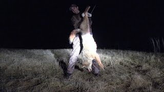 Johns 2017 Coyote Recovery  Mosquito Creek Coyote Hunt [upl. by Allebara]