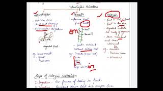 class 10 life processes heterotrophic nutrition [upl. by Whitcomb]