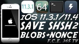 iOS 1131  How to Save SHSH2 Blobs With NONCE A10 A11 For Downgrades [upl. by Margarete388]