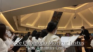 Ecce Quomodo Moritur Justus J Handl  Vox Amabilis Choir [upl. by Hercule]