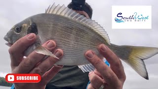 Sea fishing UK  Gilthead bream fishing  Bass fishing  Salcombe estuary [upl. by Iahc]