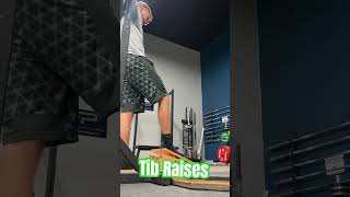 Single Leg Tibialis Raises tibialis anterior exercises shorts [upl. by Altis]