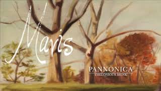 Pannonica  Thelonious Monk Cover [upl. by Aitat921]