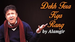 Alamgir Songs  Dekh Tera Kya Rang  Hit Pop Songs [upl. by Bergess]