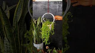 DIY Embroidery Hoop Hanging Planter A Rustic Twist on a Classic [upl. by Muldon]