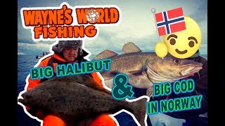 BIG COD AND HALIBUT FISHING IN NORWAY [upl. by Arabeila682]