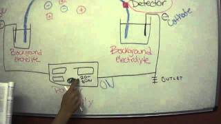 Capillary Electrophoresis [upl. by Stephanie]