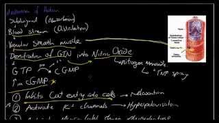 GTN  Mechanism of Action  Why we use GTN  Acute Coronary Syndrome [upl. by Coughlin763]