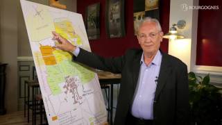 Côte de Beaune  les appellations décryptées par JeanPierre Renard [upl. by Wordoow]