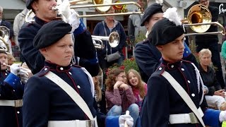 De Struytse Hoeck 14  Streetparade  Hellevoetsluis 2015 [upl. by Eeruhs346]