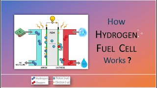 How hydrogen fuel cell works  Fuel Cell Technology  Working principle [upl. by Zeke]