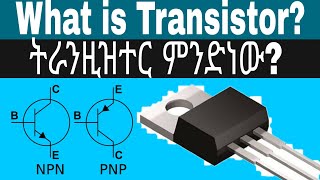 What is Transistor  ትራንዚዝተር ምንድነው [upl. by Nahsar]