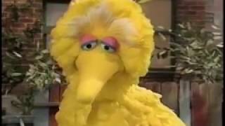 Sesame Street Episode 3860 FULL original PBS broadcast [upl. by Costanzia227]