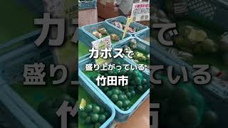 ＼カボス好き必見！カボスで溢れる竹田市に集合！！！／竹田城下町KABOSUでわっしょい♪2024 [upl. by Nonohcle632]