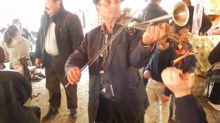 Vioara cu Goarne Bihor Trumpet fiddle Negreni 2015 [upl. by Sueahccaz]