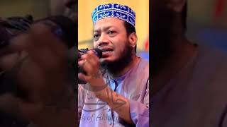 খুনি হাসিনা। আমির হামজা ওয়াজমাহফিল islamiclecture আমিরহামজানতুনওয়াজ মিজানুররহমান [upl. by Tarra]