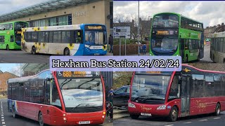 Buses at Hexham Bus Station  240224 [upl. by Omar539]